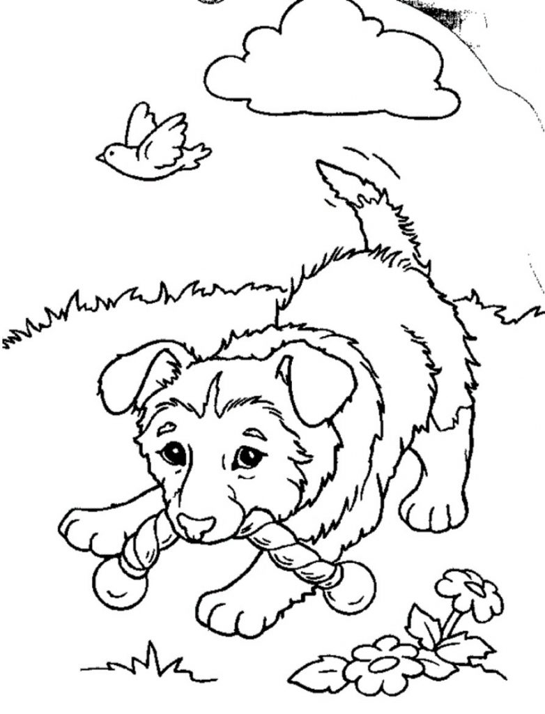 Puppies Printable Coloring Pages 7
