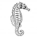 Free Printable Seahorse Coloring Pages For Kids