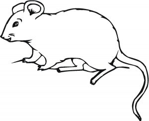 Free Printable Mouse Coloring Pages For Kids