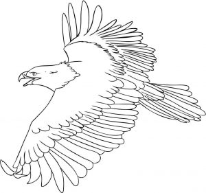 Free Printable Eagle Coloring Pages For Kids