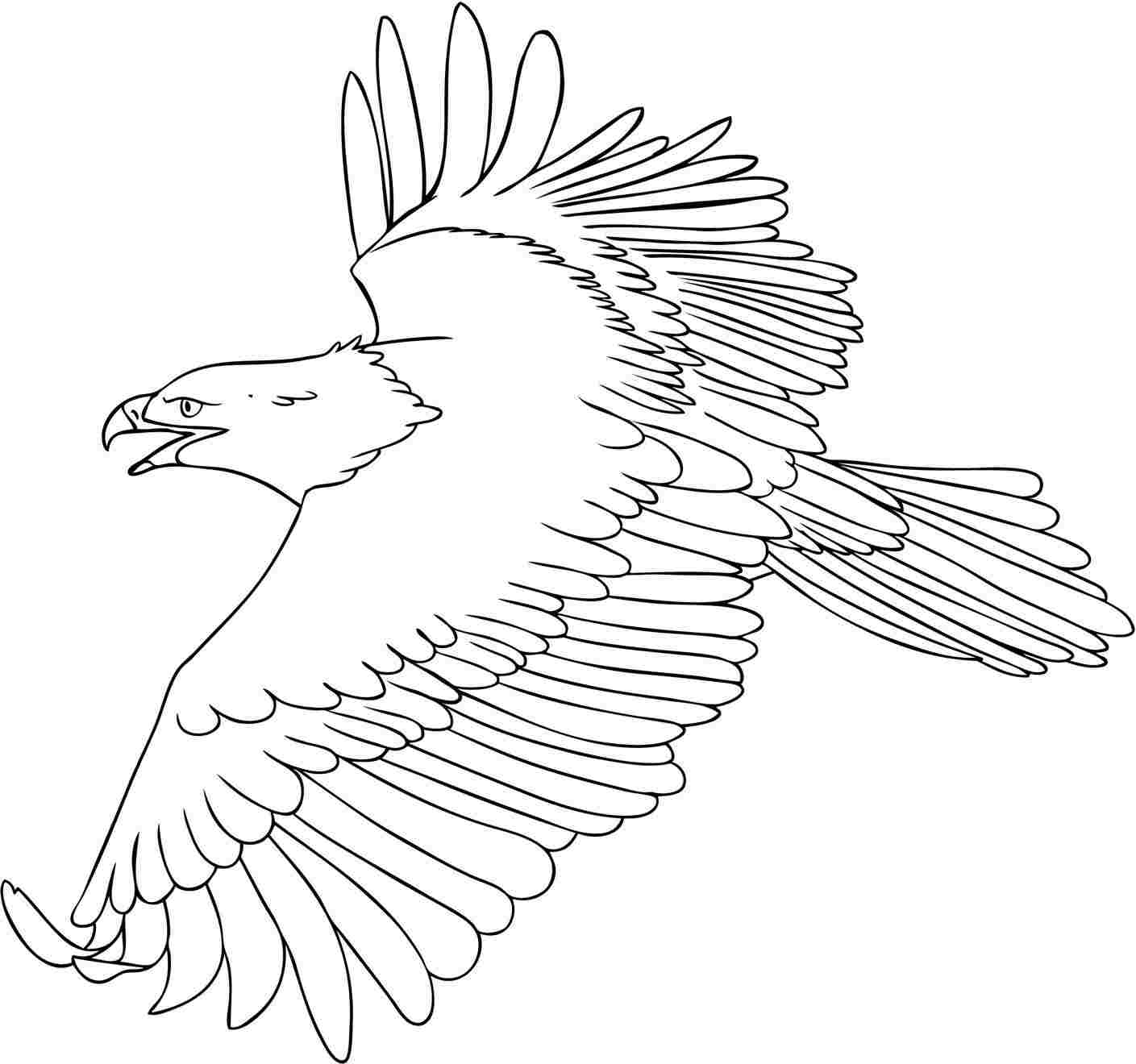 Gambar Bald Eagle Head Coloring Page Pages Mexican Golden Feather ...