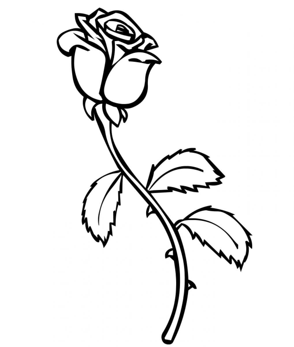 Simple Rose Flower Coloring Pages
