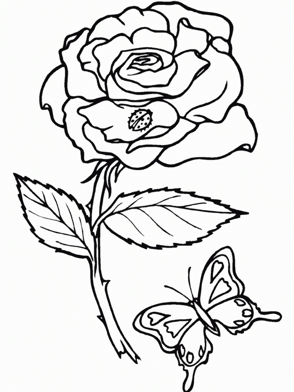 rose outlines for coloring