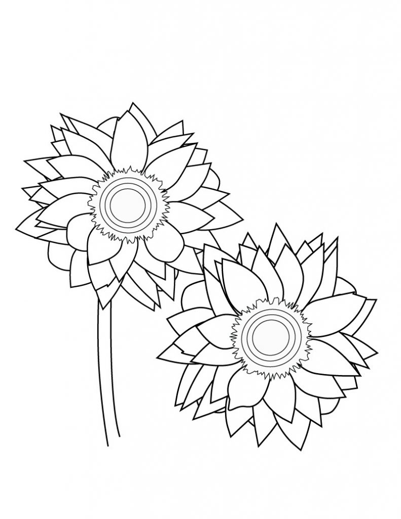 Sunflower Coloring Page Coloring Pages
