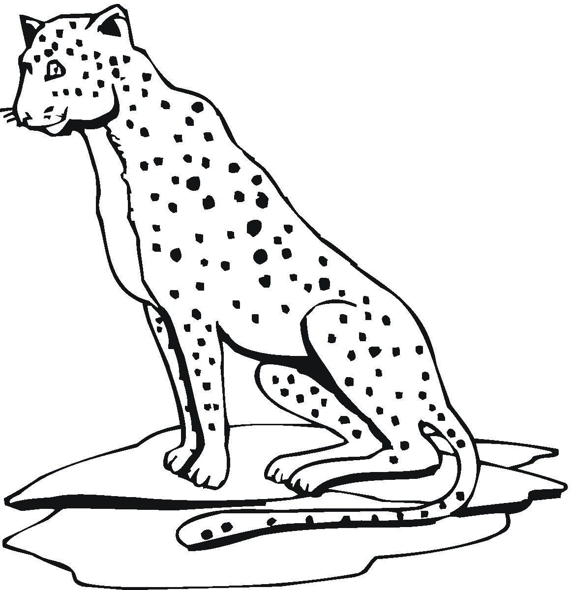 Easy How to Draw a Cheetah Tutorial and Cheetah Coloring Page