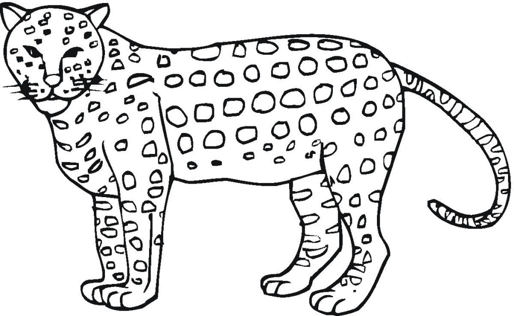 Featured image of post Cheetah Coloring Pages Realistic