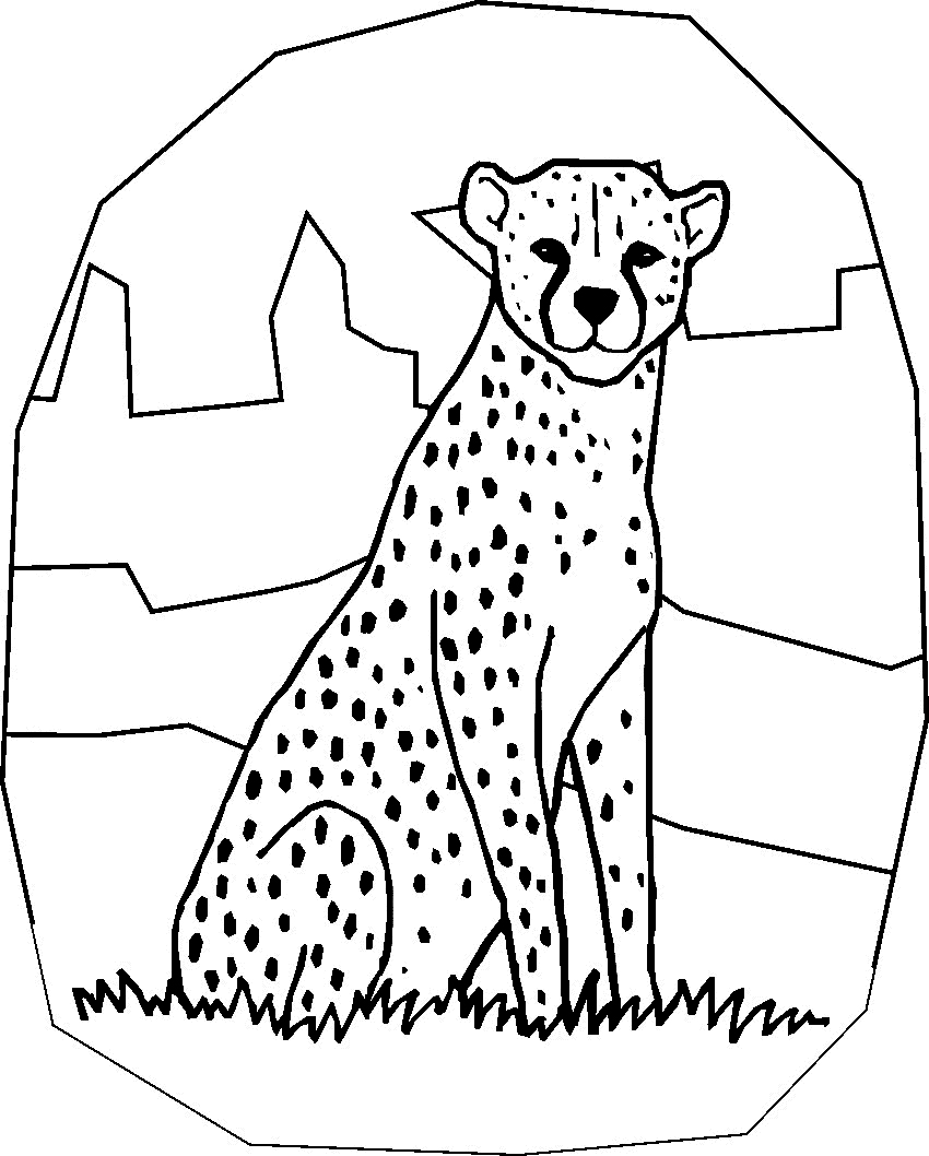 Download Free Printable Cheetah Coloring Pages For Kids