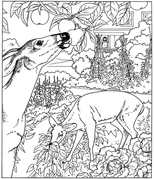  Coloring Pages Nature 10