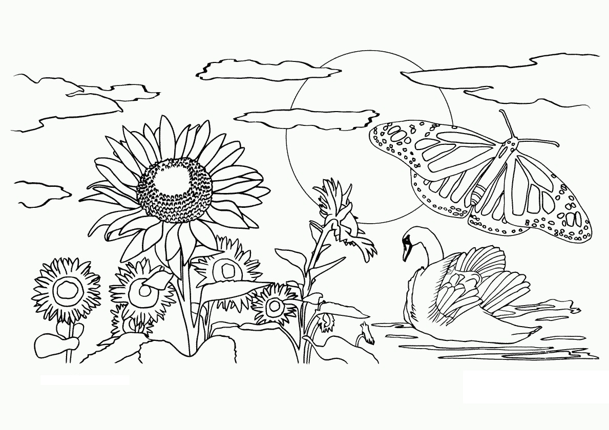 Free Printable Nature Coloring Pages For Kids - Best