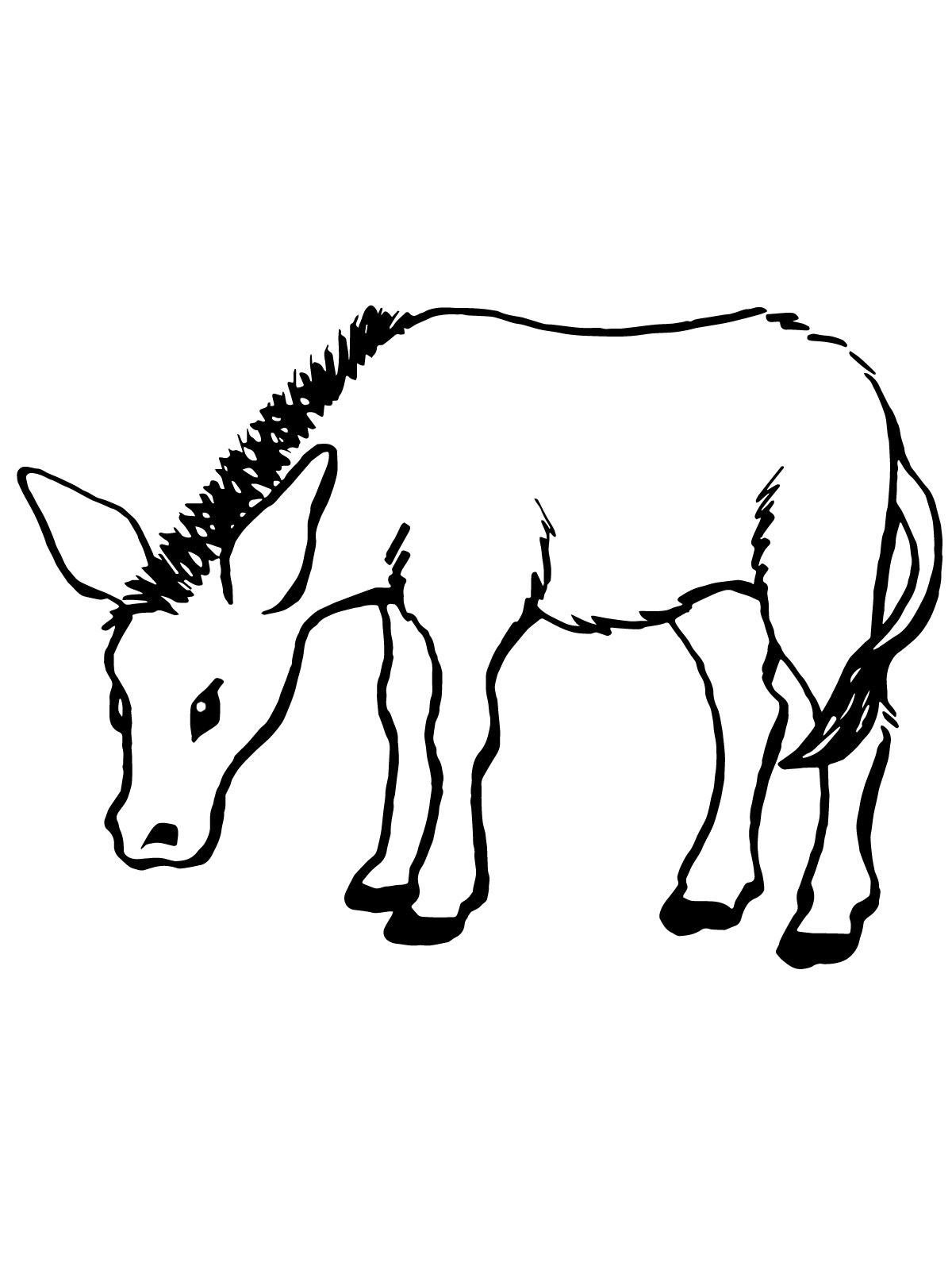 Download Free Printable Donkey Coloring Pages For Kids