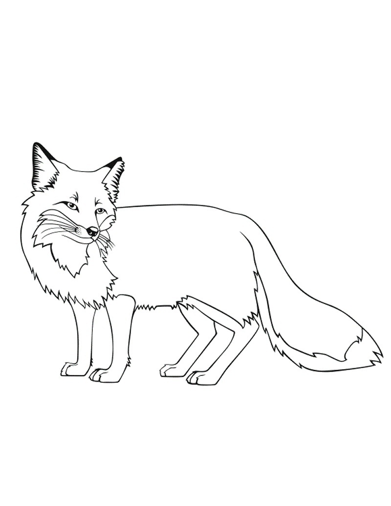 Free Printable Fox Coloring Pages For Kids - coloring pages roblox coloring page a fox printable