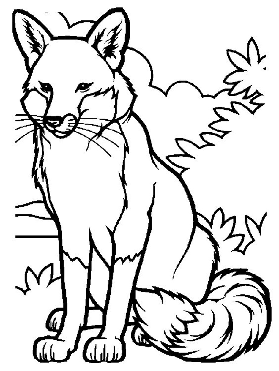 Download Free Printable Fox Coloring Pages For Kids