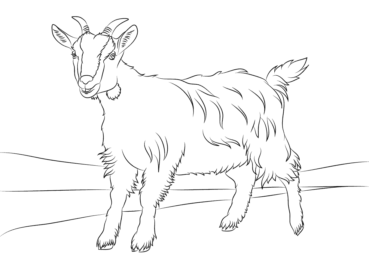 How to Draw a Goat for Kids Easy (Animals for Kids) Step by Step |  DrawingTutorials101.com