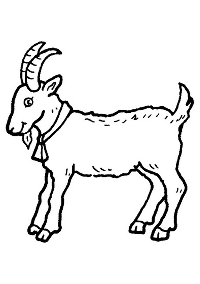 meat goat coloring pages