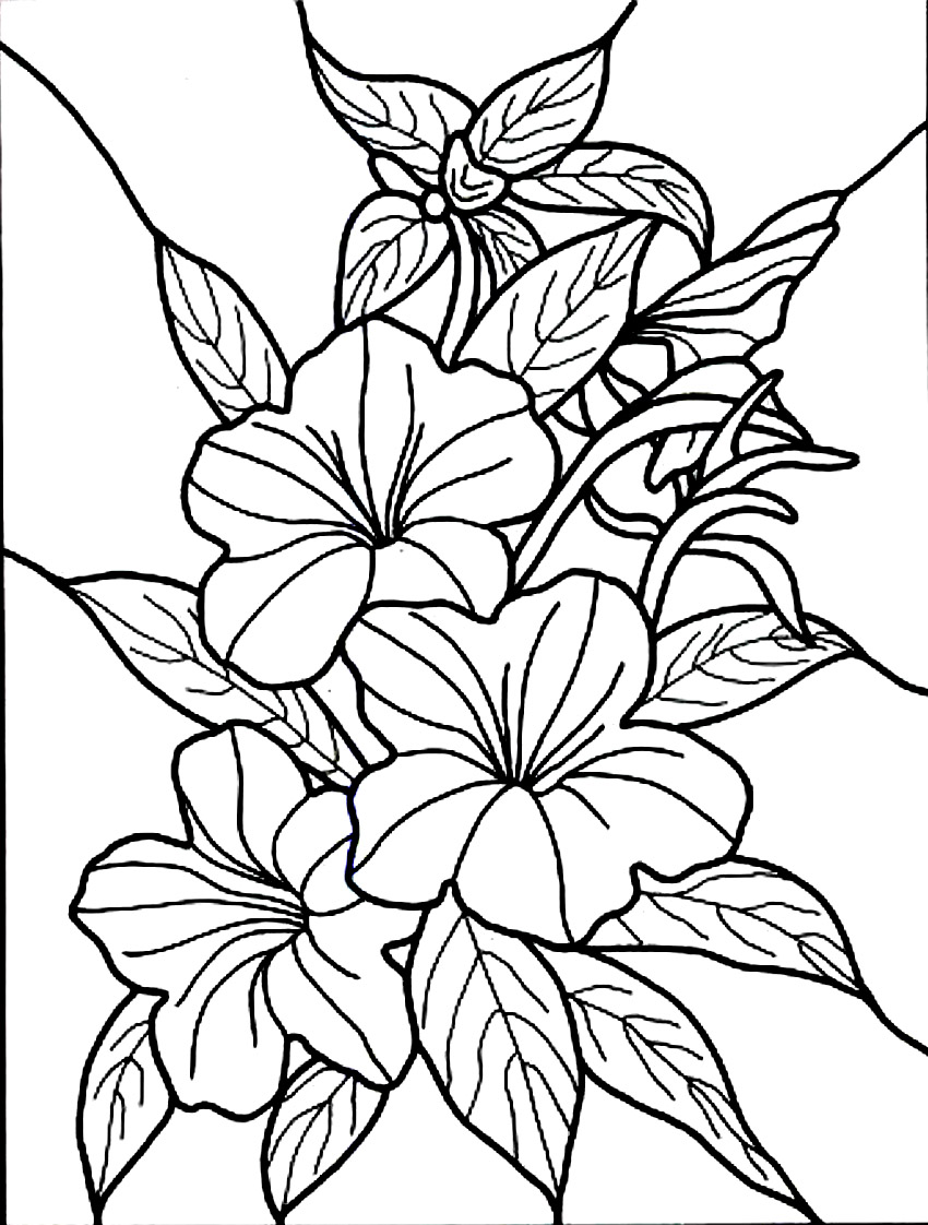 Coloring Sheets Of Flowers 5