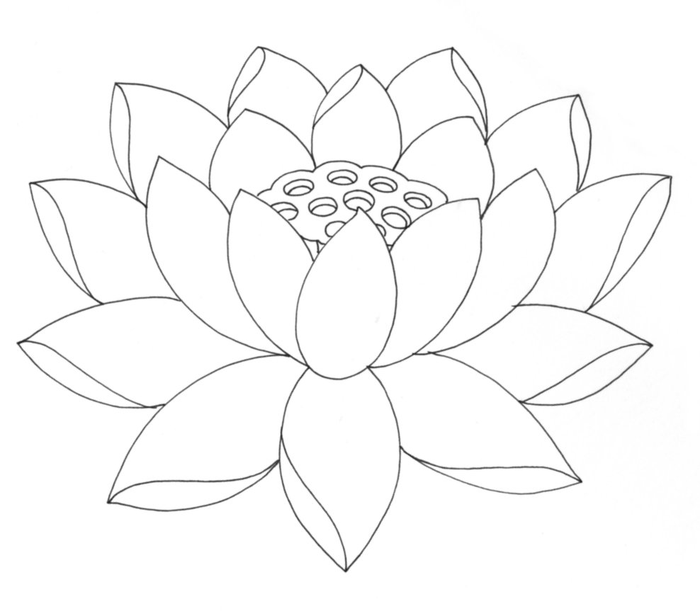 Free: Greyscale Lotus Flower Clip Art - Easy Draw Lotus Flower - nohat.cc