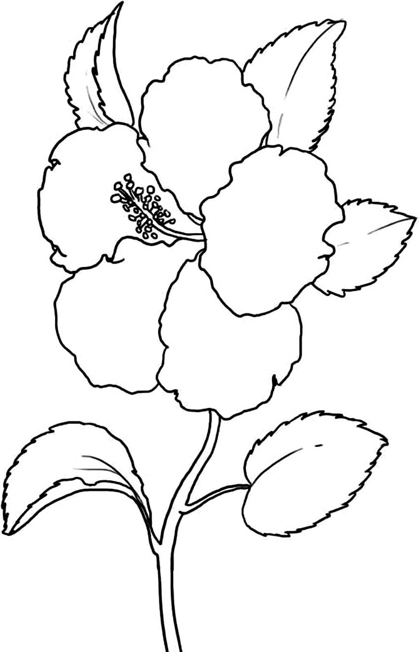 luau flowers coloring pages