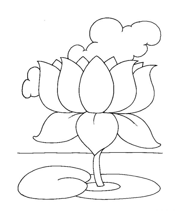 Moon Mandala Lotus Coloring Page Coloring Pages