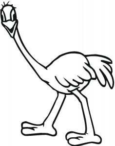 Free Printable Ostrich Coloring Pages For Kids