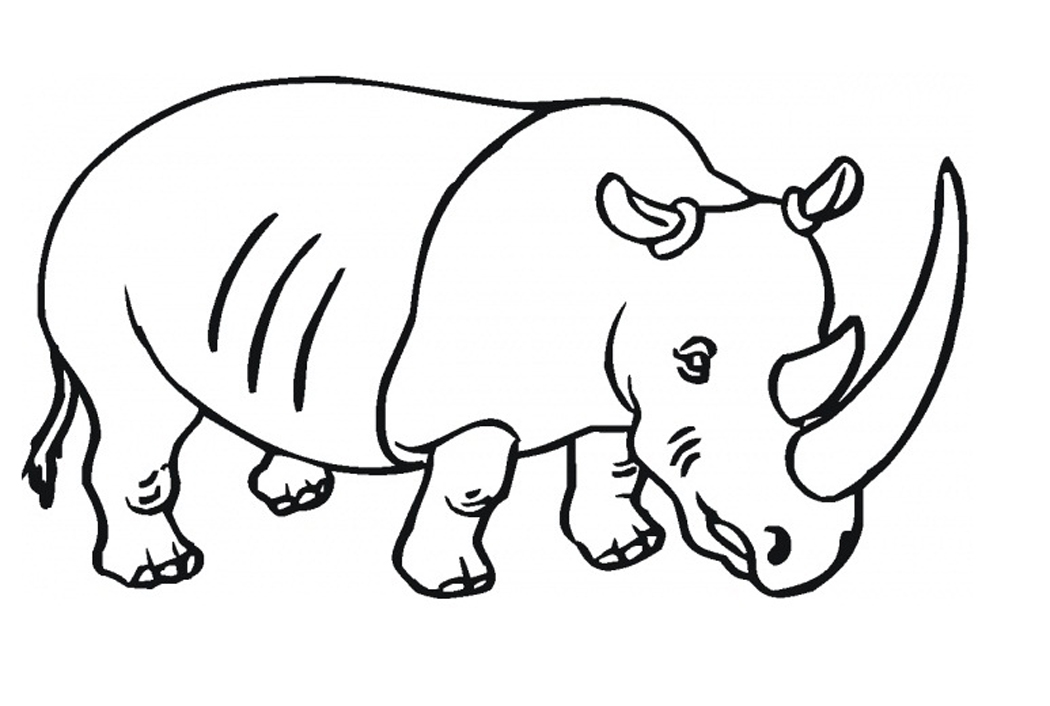 baby rhino coloring pages