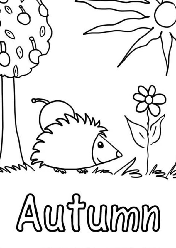 66 Printable Coloring Pages Autumn  Images