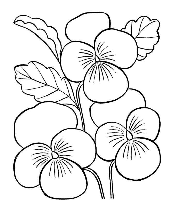 free printable flower coloring pages for kids best coloring pages for kids