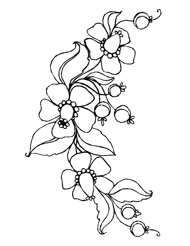 Pretty Flower Coloring Sheet