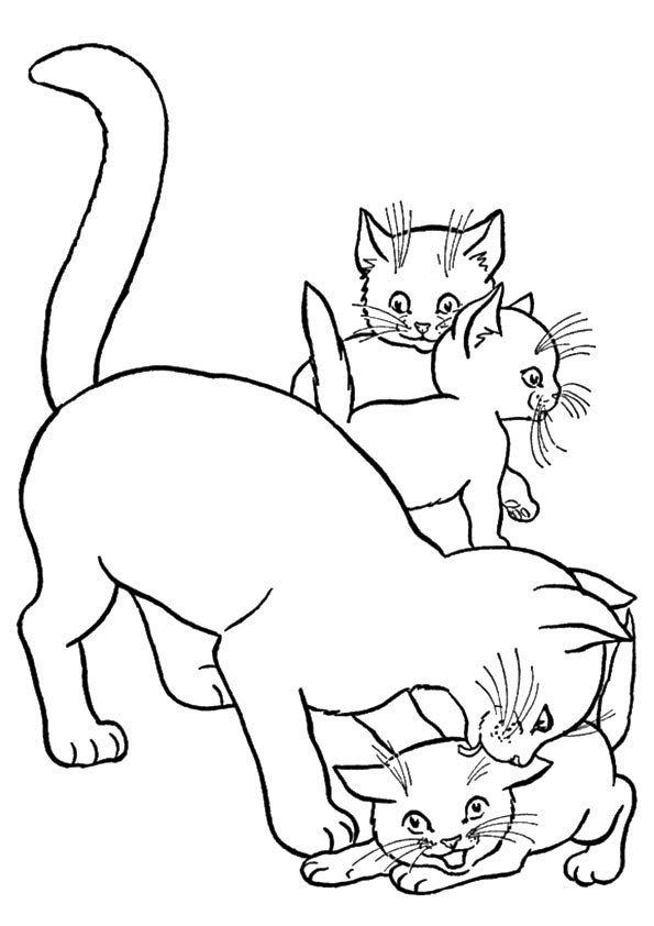 Printable Coloring Pages Of Kittens