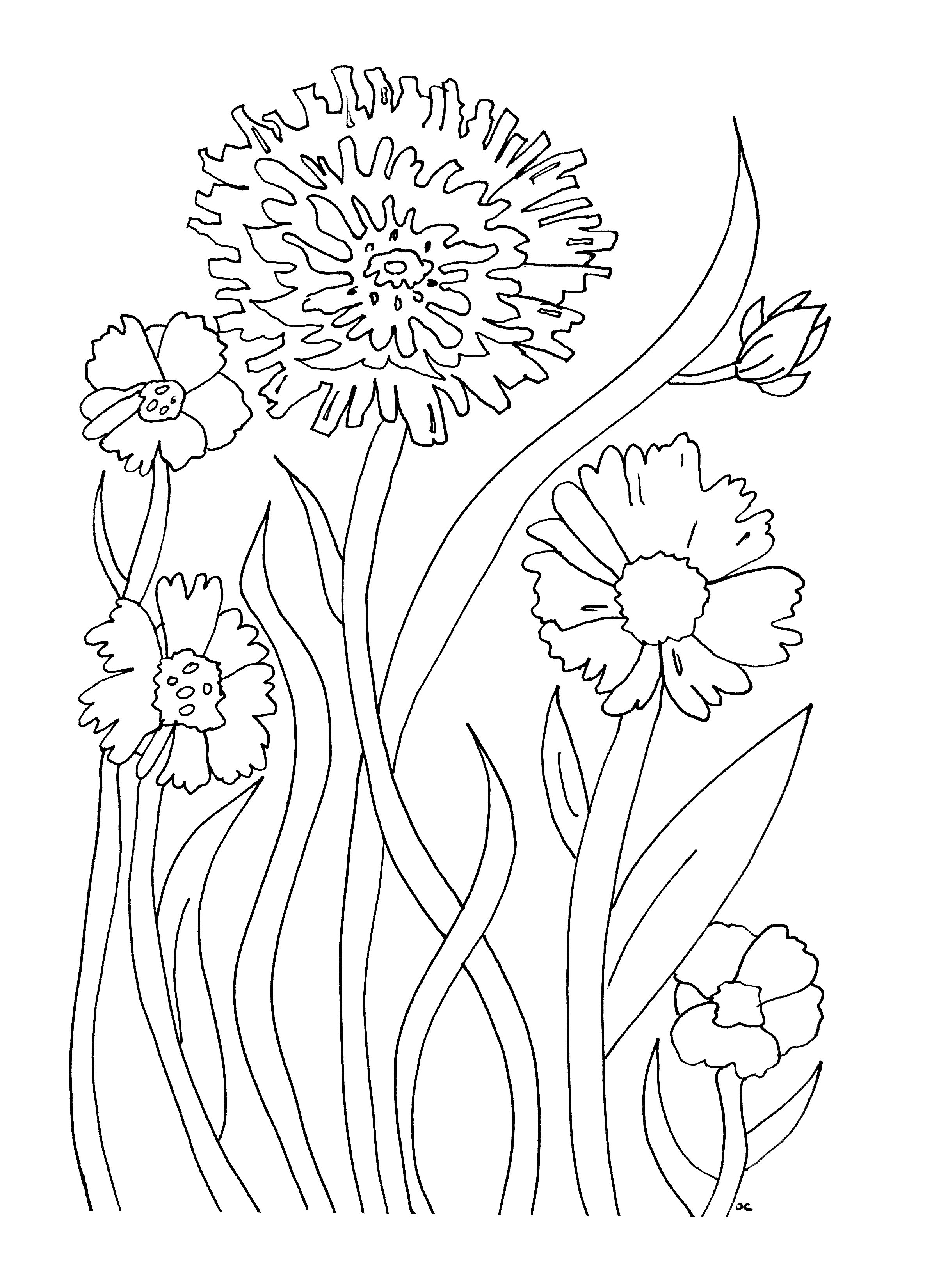 free coloring flower by number