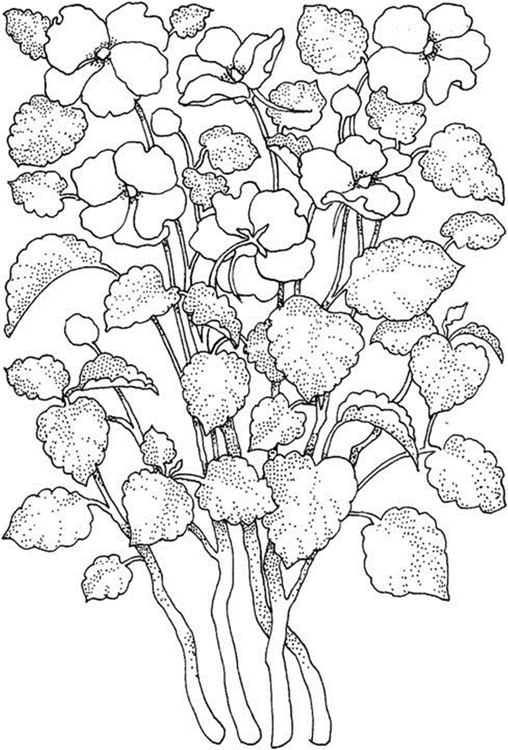 free printable flower coloring pages for kids best