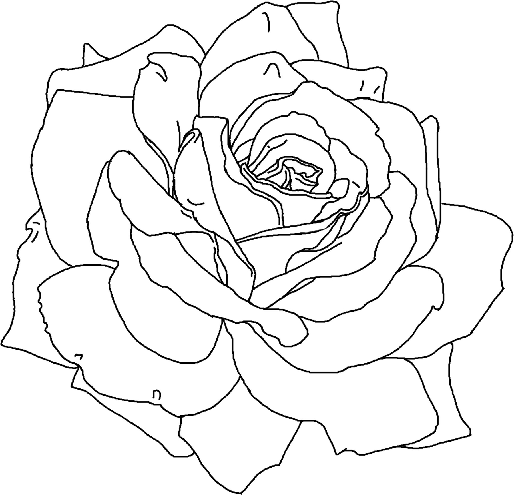 flower coloring by number pages
