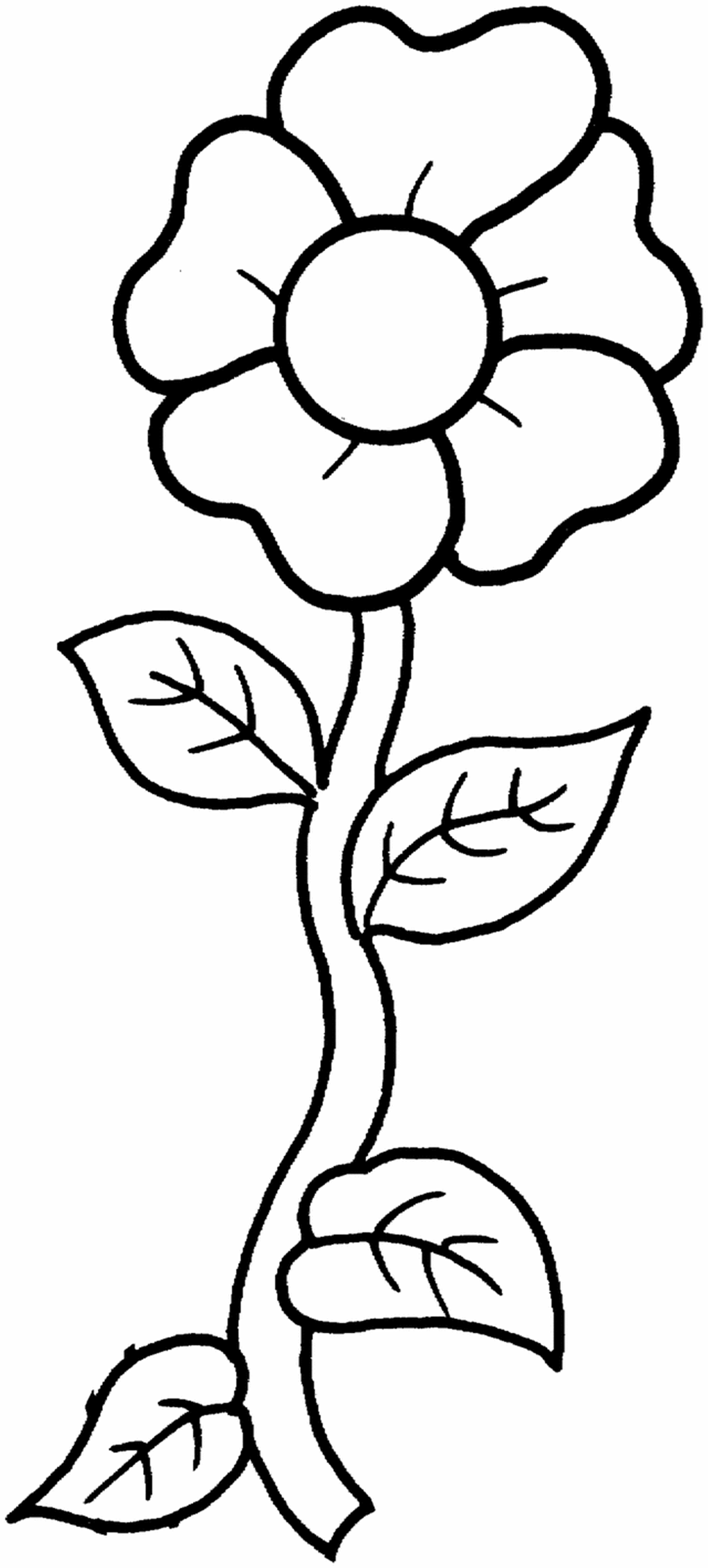free-printable-flower-coloring-pages-for-kids-best-tribal-design