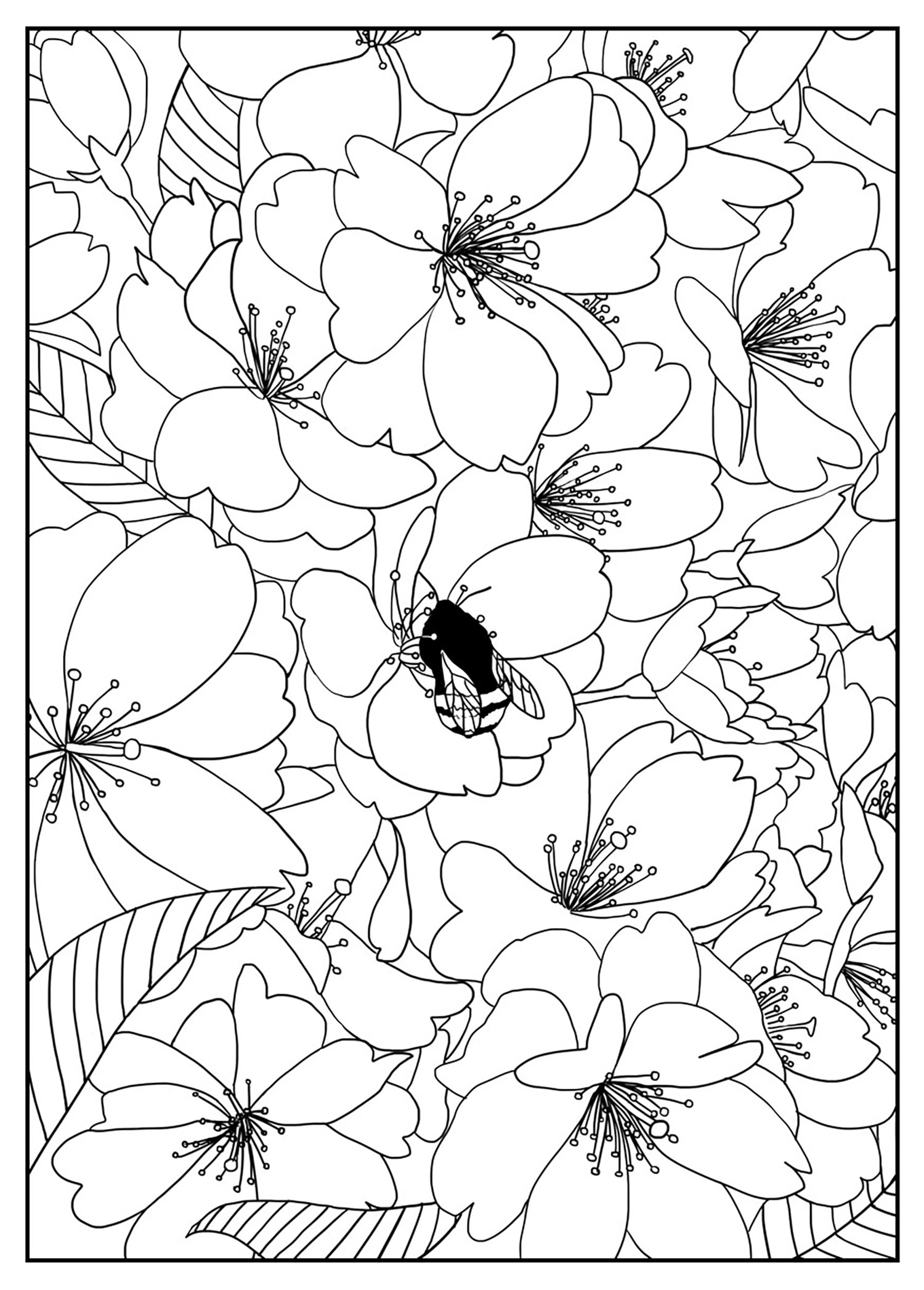 Starry niitez Flower Pictures For Coloring Printables