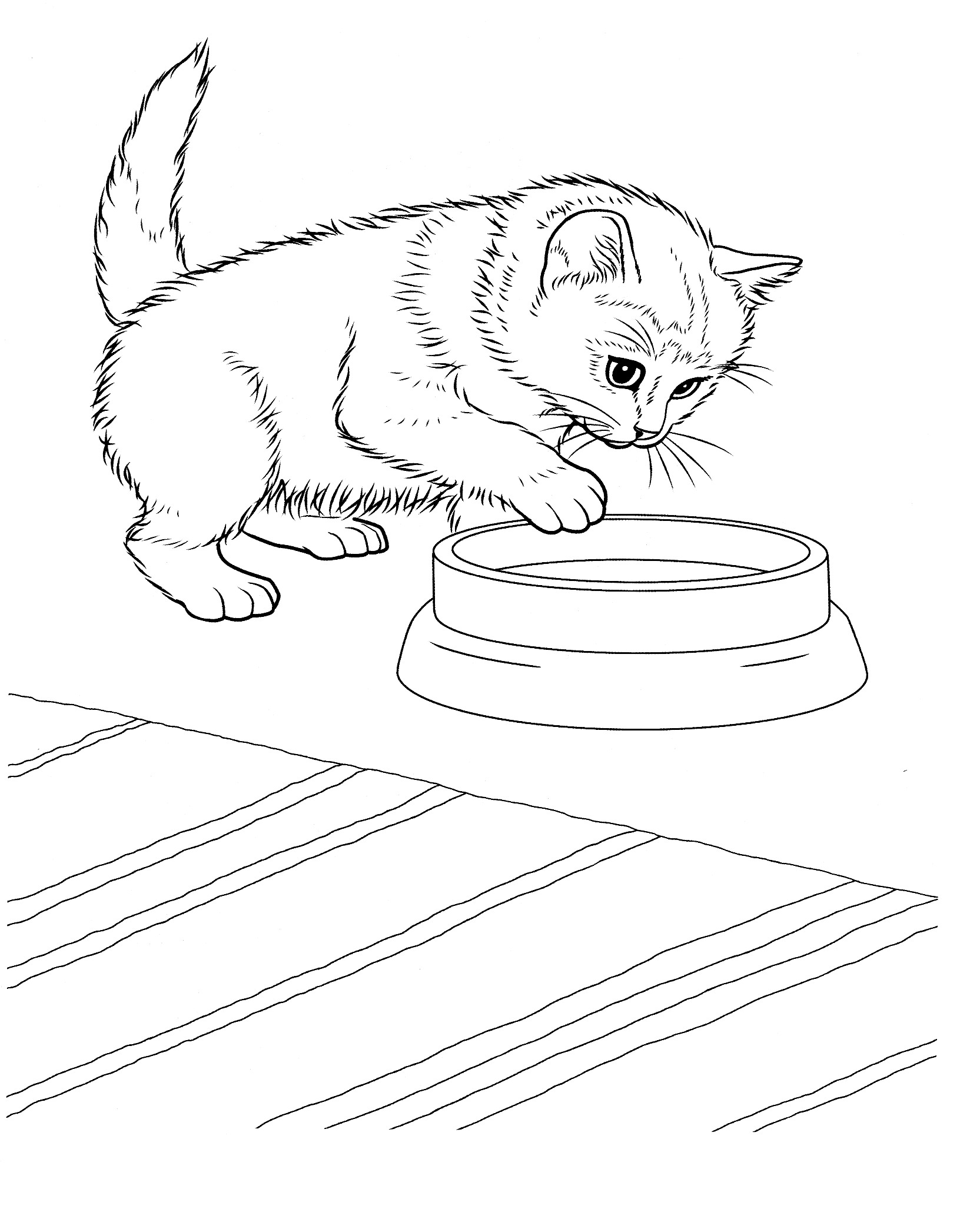 warrior-cats-printable-coloring-pages