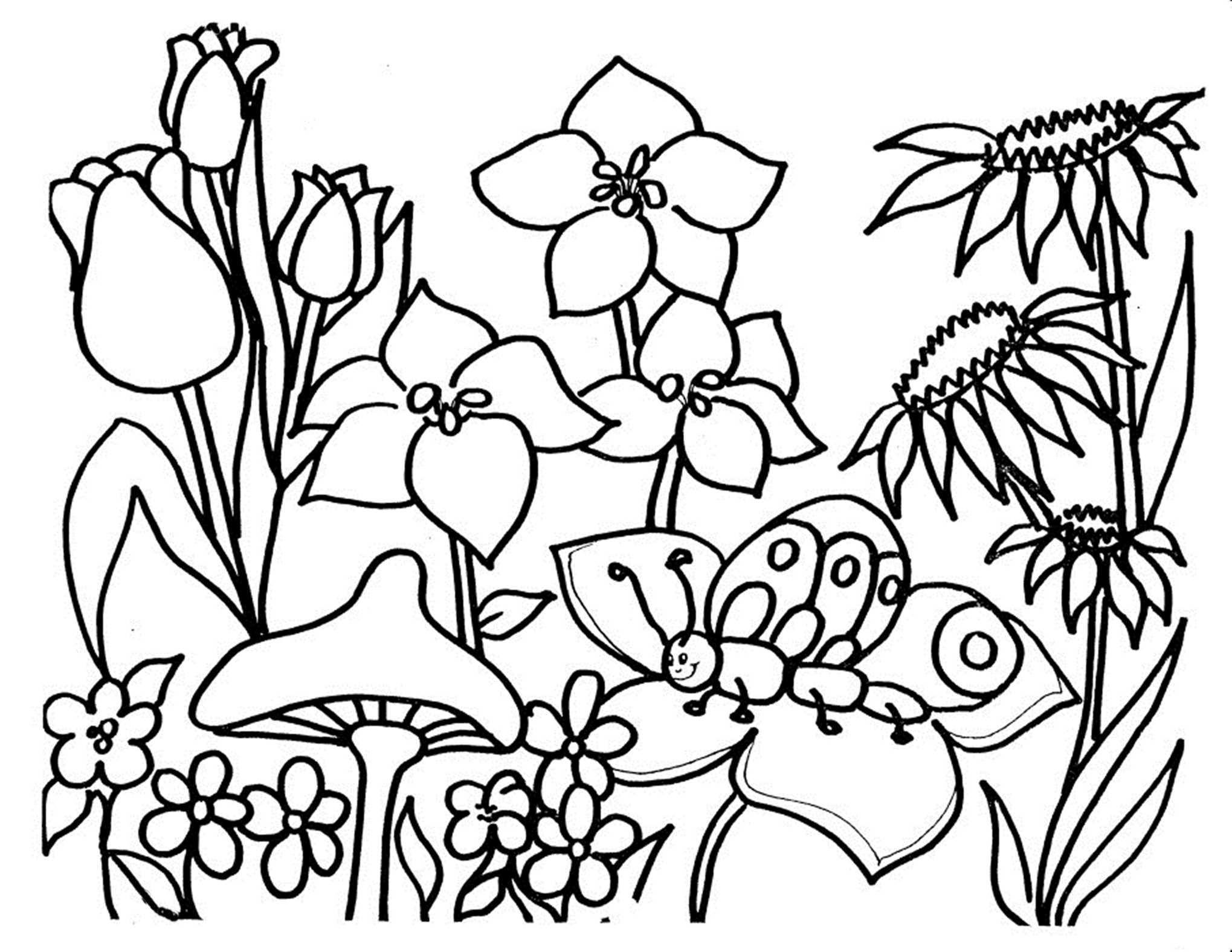 flower coloring sheets for preschoolers