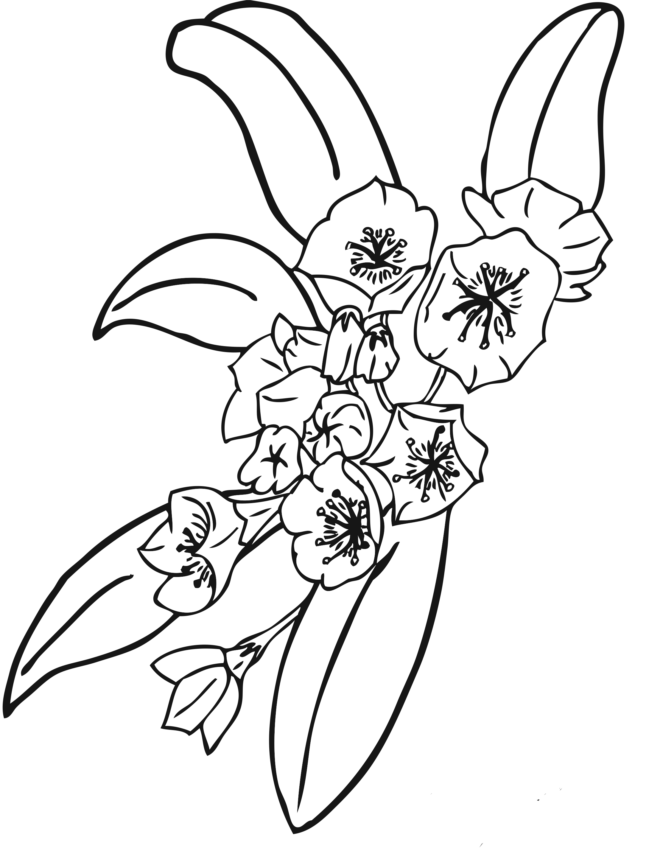 Free Printable Flower Coloring Pages For Kids Best Coloring Pages For 