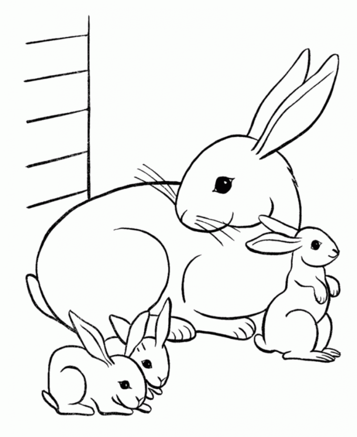 bunny coloring pages  best coloring pages for kids