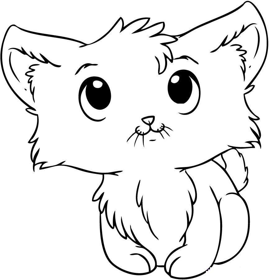Kitten Printable Coloring Pages 4