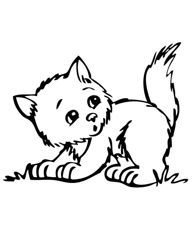 baby kitten coloring pages
