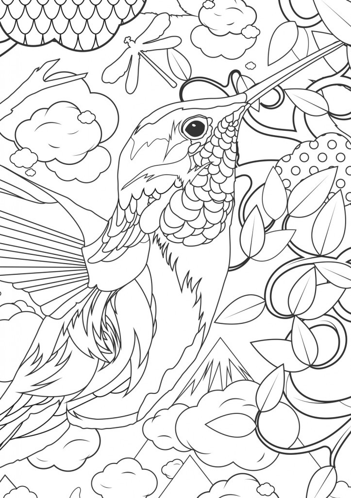 Funny Hummingbird Coloring Page