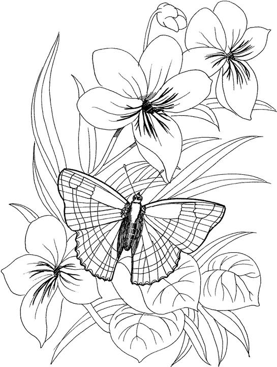 Flower Coloring Pages For Adults Best Coloring Pages For Kids