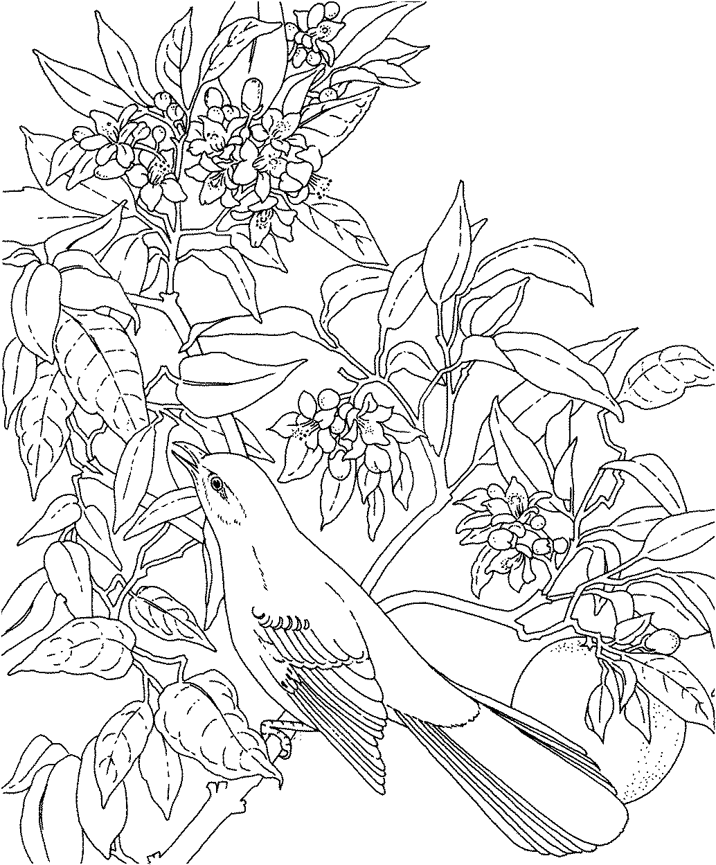 Download Flower Coloring Pages for Adults - Best Coloring Pages For ...