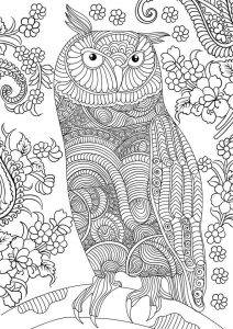 owl coloring pages for adults free detailed owl coloring