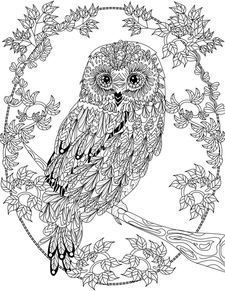 Download OWL Coloring Pages for Adults. Free Detailed Owl Coloring ...