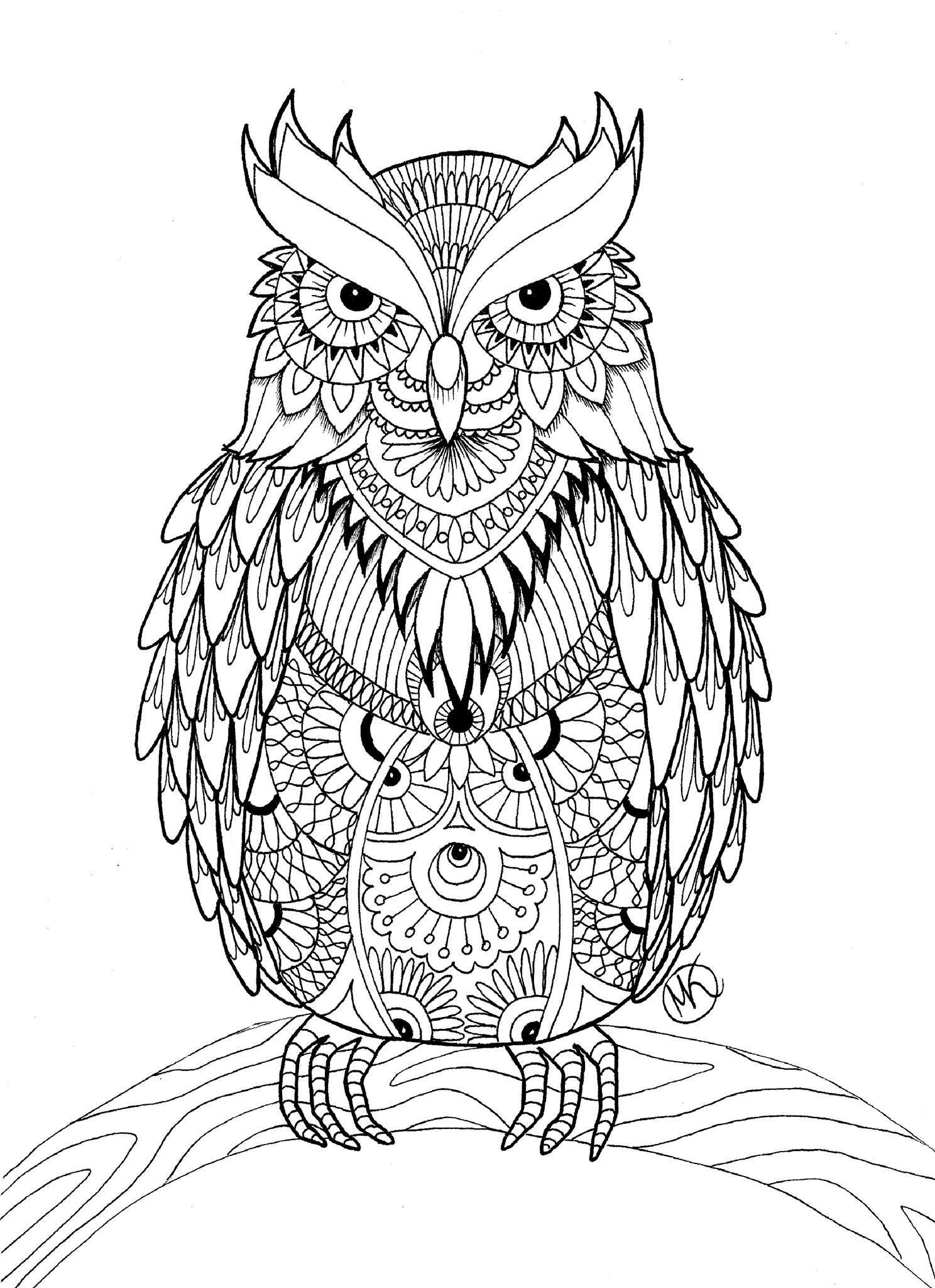 owl-coloring-pages-for-adults-free-detailed-owl-coloring-pages