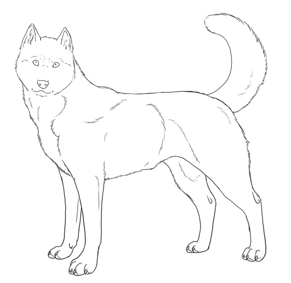 husky puppies and mom coloring pages