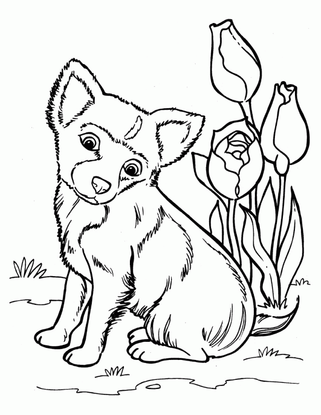 realistic husky dog coloring pages