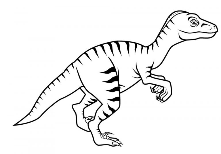 Velociraptor Coloring Pages - Best Coloring Pages For Kids