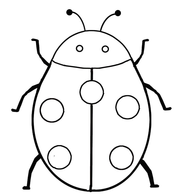 Easy Ladybug Coloring Page For Kids