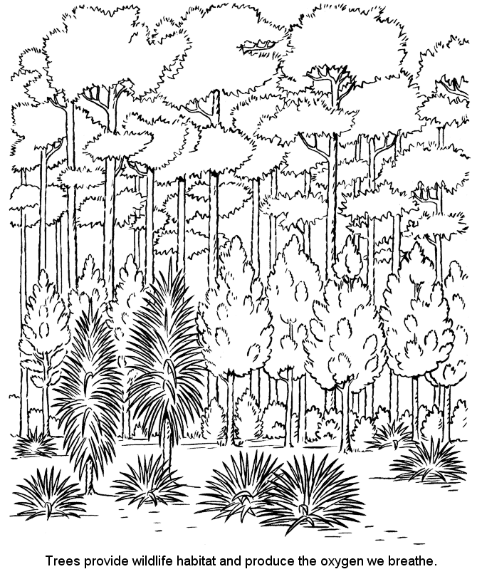Trees Provide Wildlife Habitat Coloring Page
